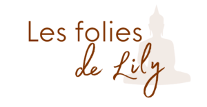 Logo "les folies de Lily"